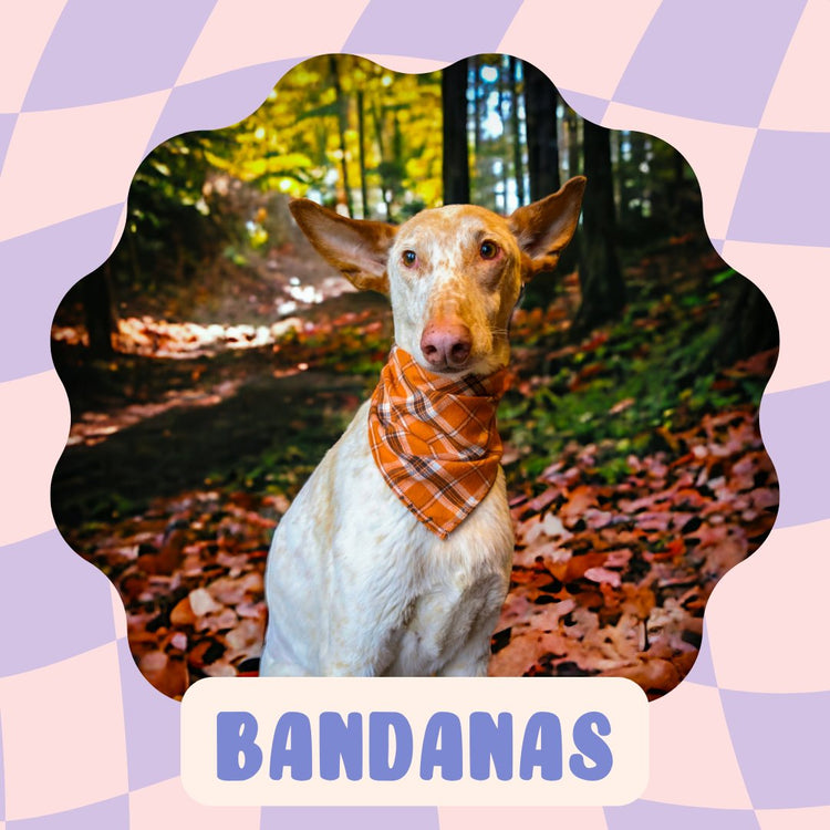 Bandanas