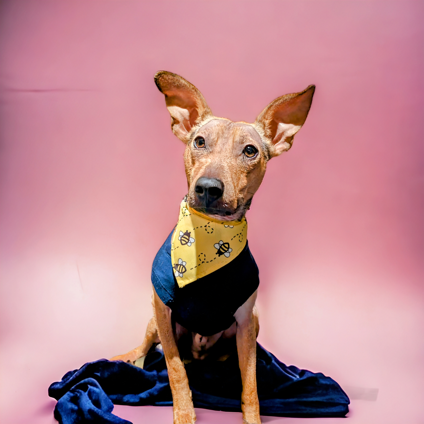 Bee Bandanas